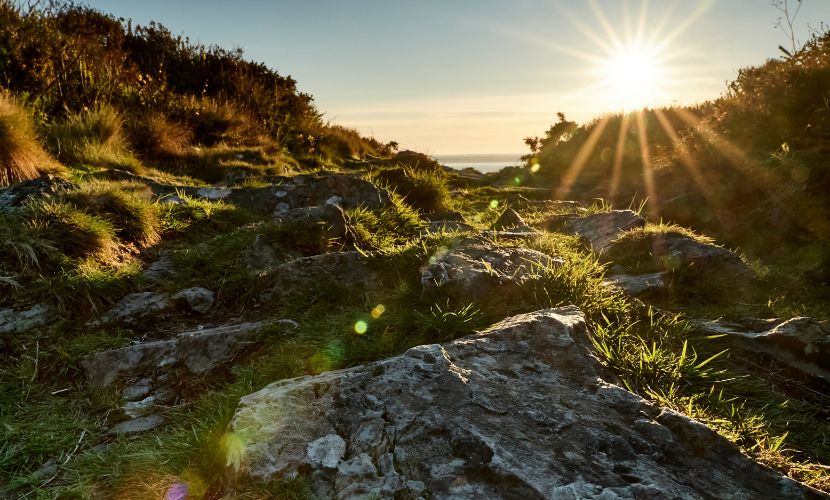 Les Offices De Tourisme - Tout Commence En Finistère